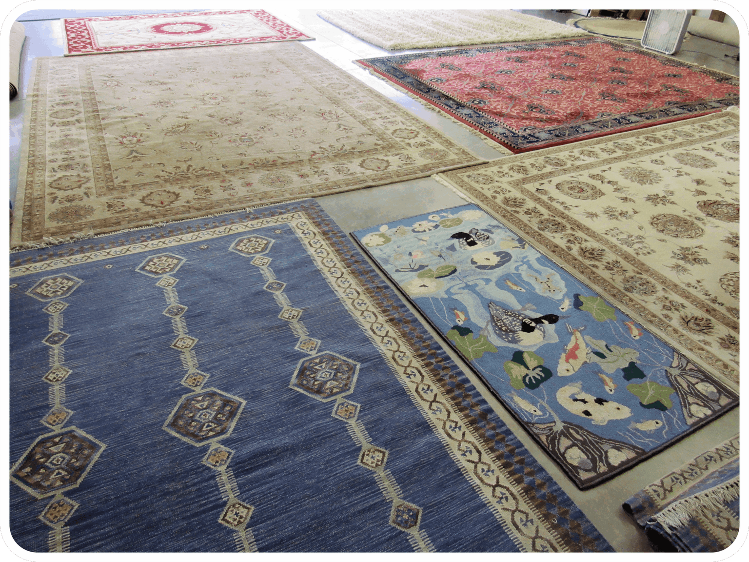 Oriental Rug Cleaning