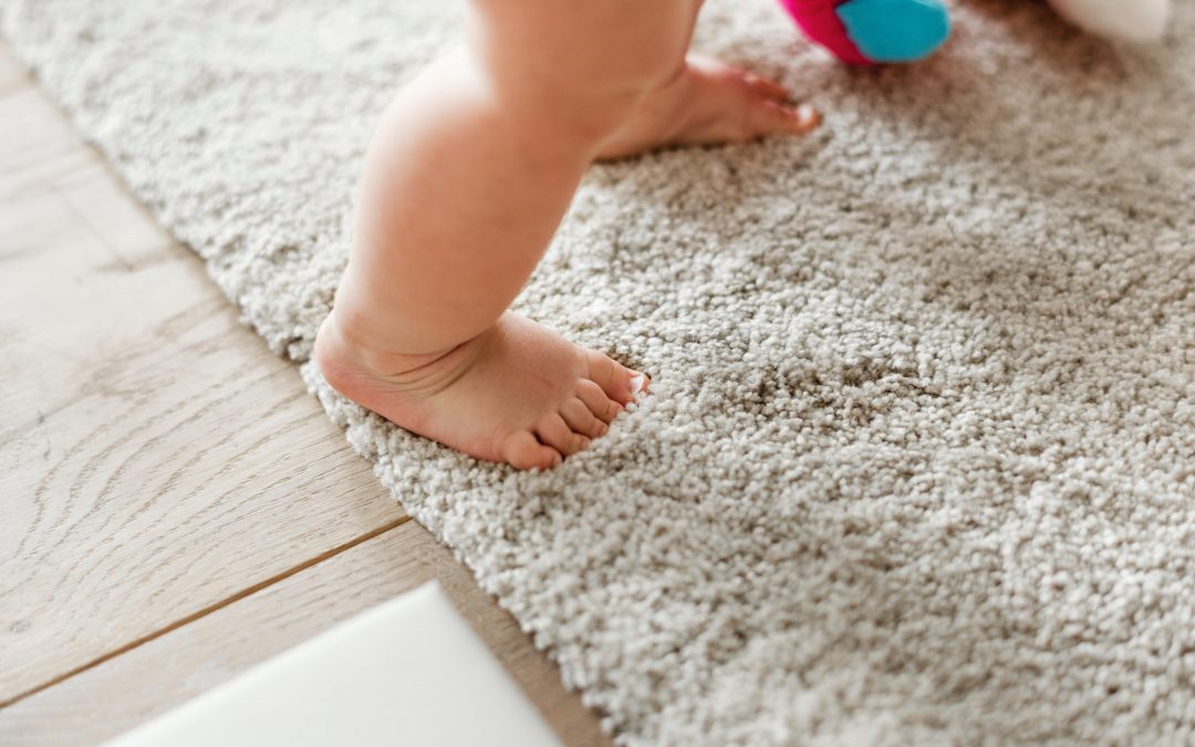 Carpet Cleaning Services in Columbia SC