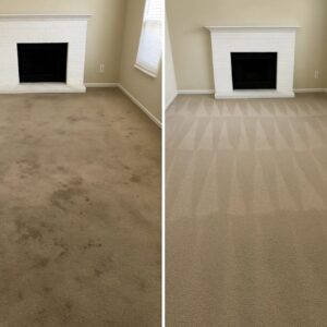 Best Residential Carpet Cleaning