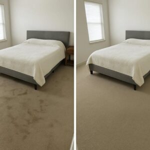 Best Residential Carpet Cleaning