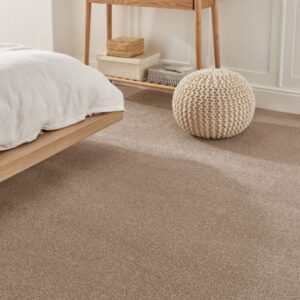 Modern home with clean carpet