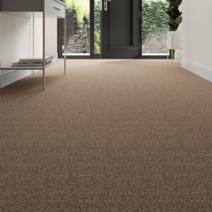 Modern home with clean carpet
