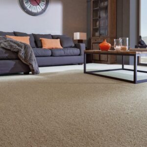 Modern home with clean carpet